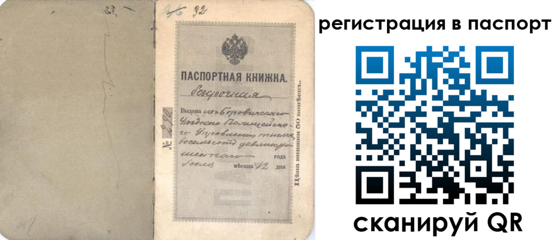 прописка гарантия в Хвалынске